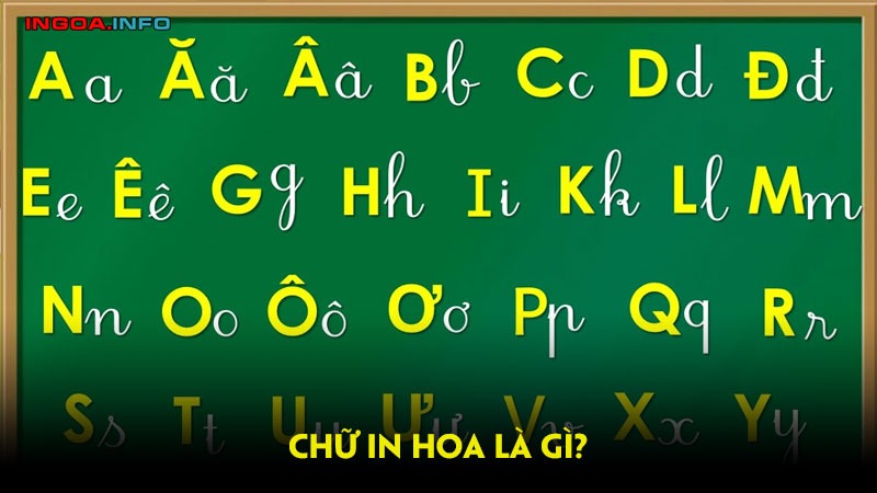 Chữ in hoa là gì Chữ in thường và chữ in hoa khác nhau ở đâu