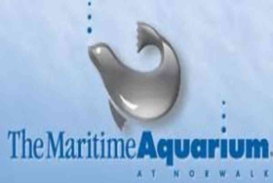 30 OFF The Maritime Aquarium at Norwalk Promo Codes & Coupons for