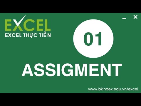 [BKIndex][Excel thực tiễn] HDG Assignment 1   Bài 1   Bài 2