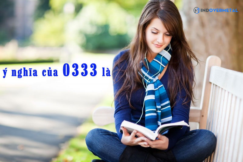 y-nghia-cua-0333-la-mindovermetal