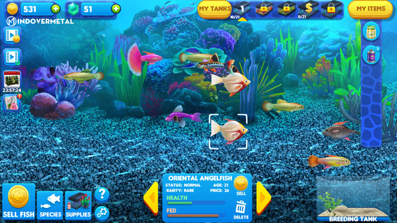 fish tycoon 2 guide