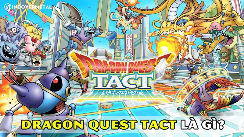 dragon-quest-tact-la-gi-meo-choi-game-danh-cho-tan-thu