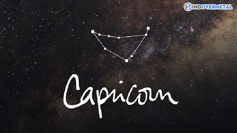 cung-ma-ket-sinh-thang-may-mindovermetal