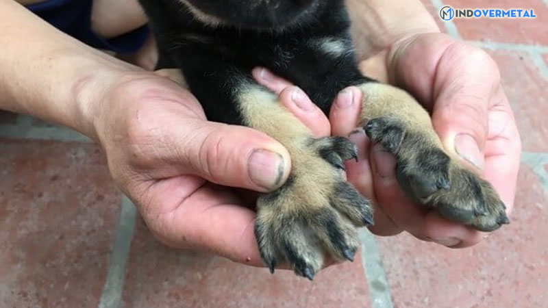 huyen-de-la-gi-tai-sao-cho-huyen-de-duoc-san-lung-2