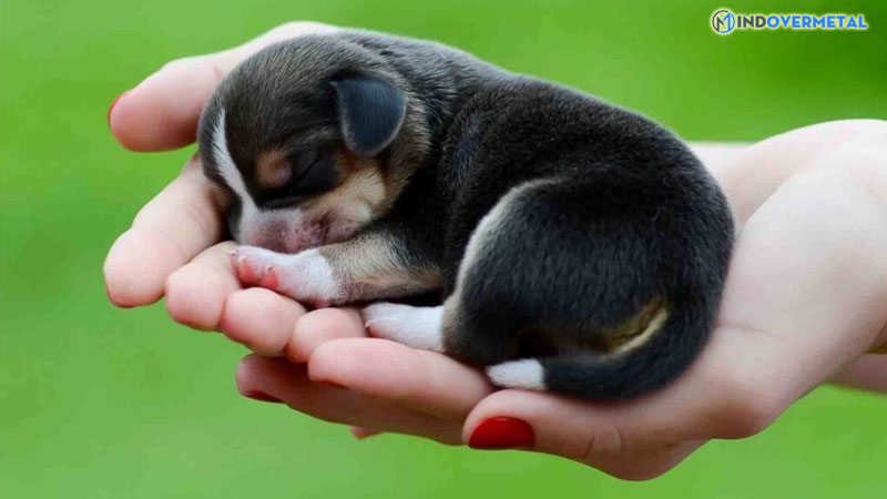 huyen-de-la-gi-tai-sao-cho-huyen-de-duoc-san-lung-6