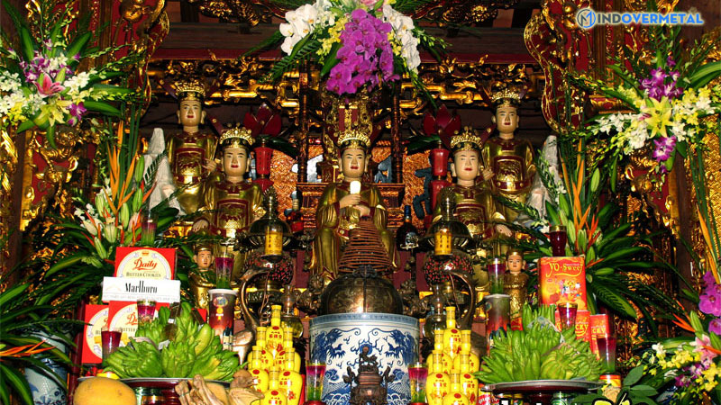 tu-phu-la-gi-can-tu-phu-la-gi-mo-phu-la-gi-9