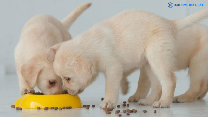 cac-ly-thuyet-hoc-tap-co-so-tam-ly-hoc-day-hoc-7