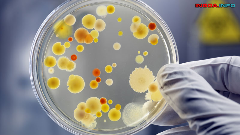 len-men-la-gi-qua-trinh-len-men-lactic-trong-cong-nghe-thuc-pham-3