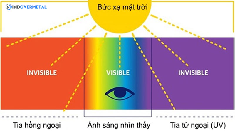 quang-pho-anh-sang-la-gi-ung-dung-cua-quang-pho-trong-doi-song-7