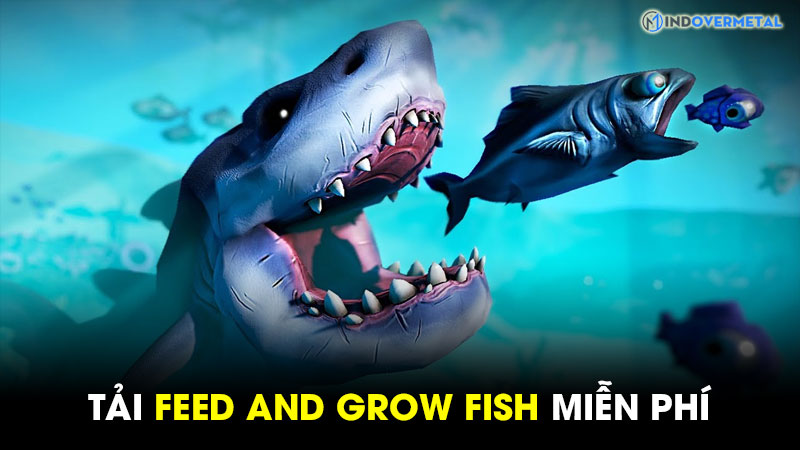 tai-feed-and-grow-fish-free-full-crack-moi-nhat-5