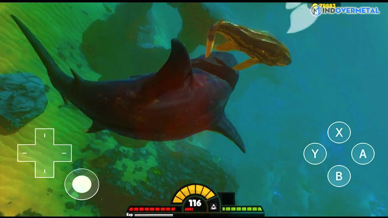 tai-feed-and-grow-fish-free-full-crack-moi-nhat-6