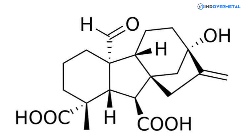 ung-dung-cua-gibberellin-trong-nong-nghiep-2