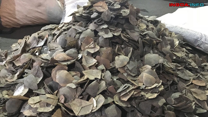 cach-lam-thit-te-te-thit-te-te-lam-mon-gi-ngon-5