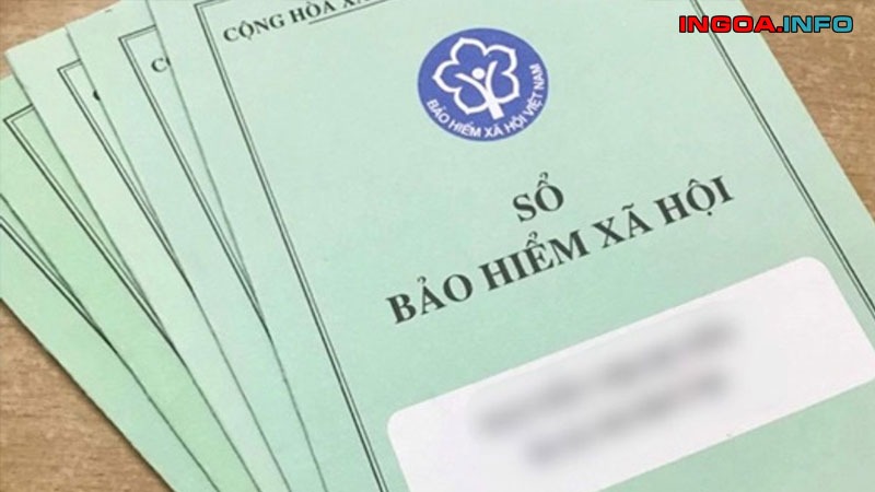 dong-bao-hiem-full-luong-la-gi-phan-biet-giua-luong-net-va-luong-gross-1