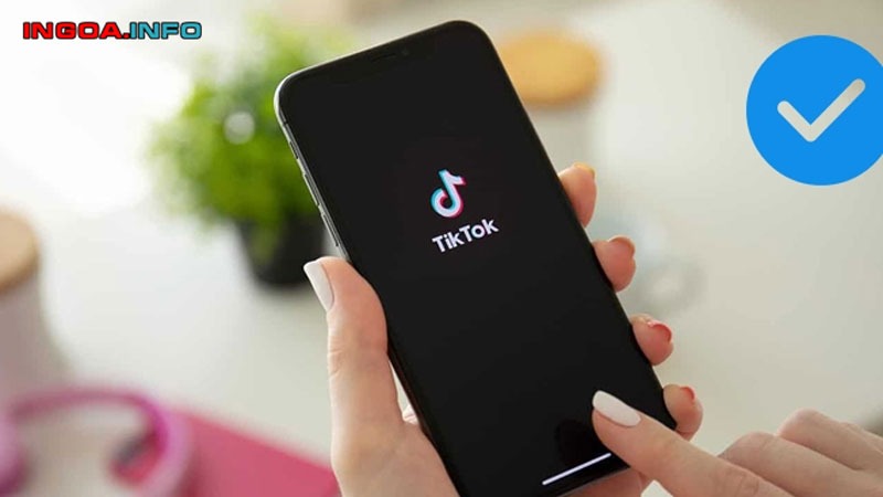 huong-dan-cach-copy-dau-tich-xanh-tiktok-nhanh-chong-va-hieu-qua-4