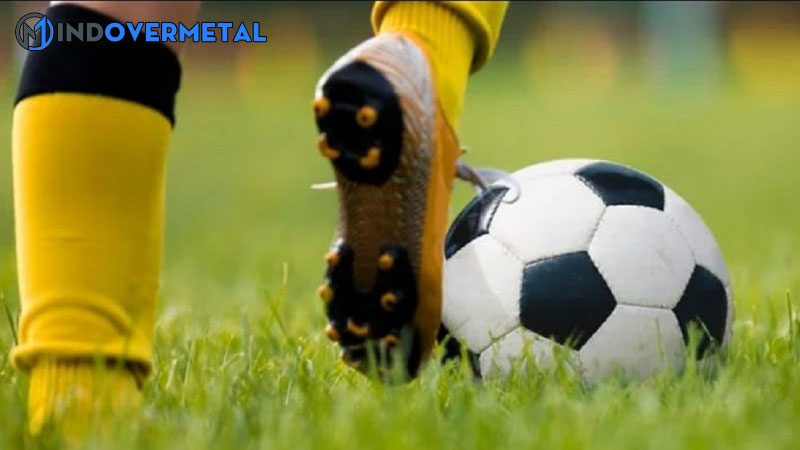 keo-chap-hoa-la-gi-meo-ca-cuoc-keo-chap-hoa-luon-thang-1