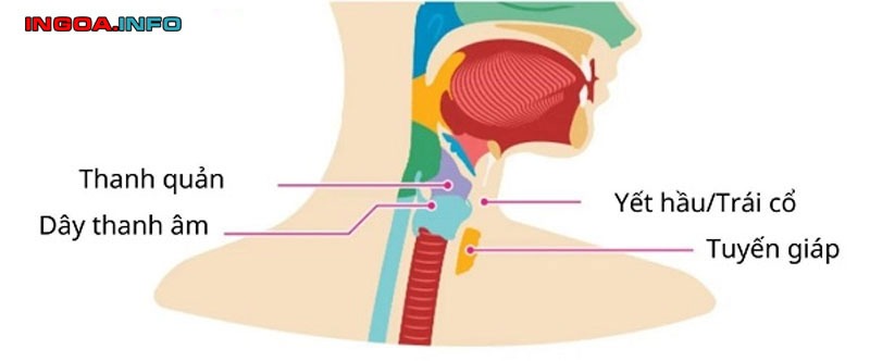 lam-sao-de-co-trai-co-phu-nu-co-yet-hau-hay-khong-8