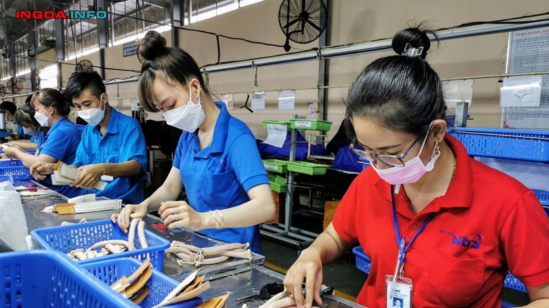 moi-truong-noi-bo-la-gi-cac-yeu-to-cua-moi-truong-noi-bo-1