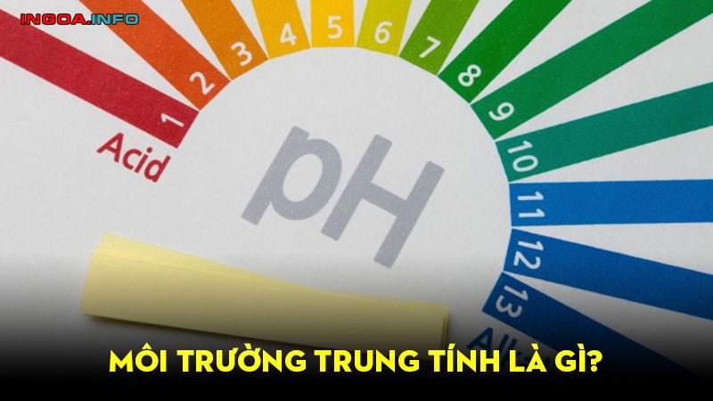 moi-truong-trung-tinh-la-gi-tim-hieu-ve-moi-truong-trung-tinh-8