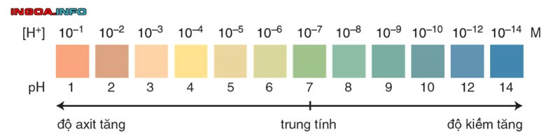 moi-truong-trung-tinh-la-gi-tim-hieu-ve-moi-truong-trung-tinh-8