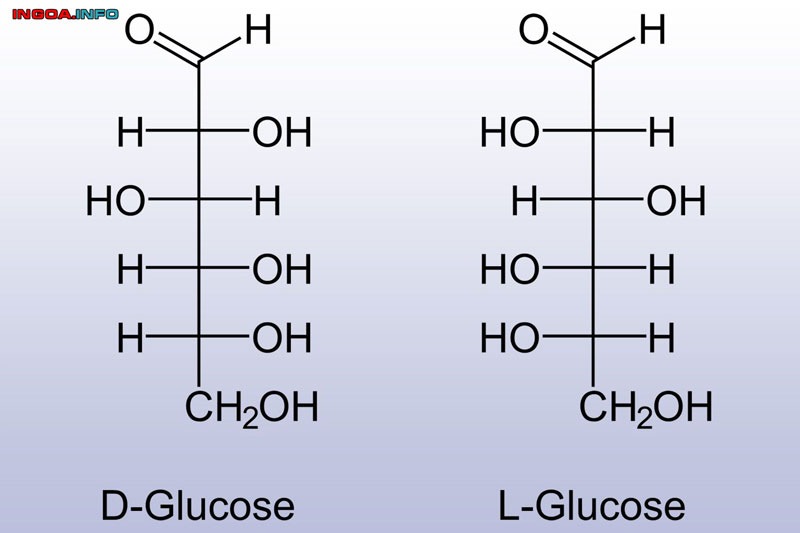 monosaccharide-la-gi-tinh-chat-va-chuc-nang-cua-monosaccharide-3