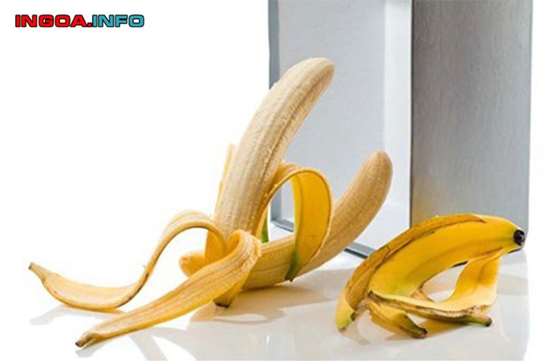 ngoc-hanh-la-gi-cau-tao-ben-ngoai-ben-trong-va-chuc-nang-cua-biu-2