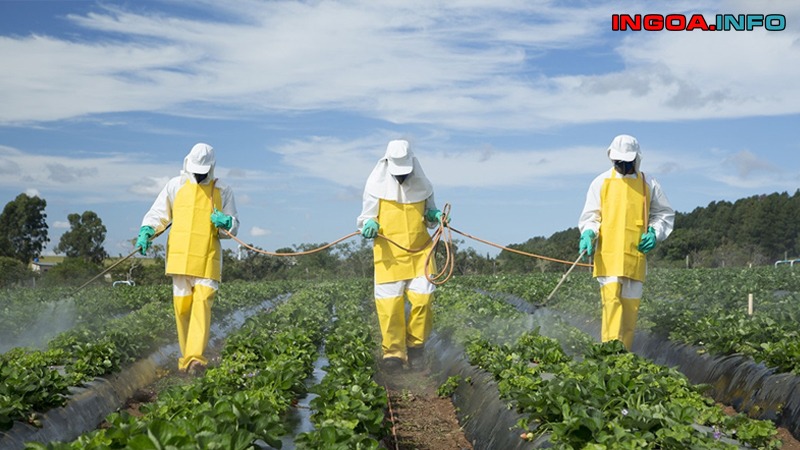 profenofos-la-gi-cong-dung-va-tac-dong-cua-profenofos-la-gi-2