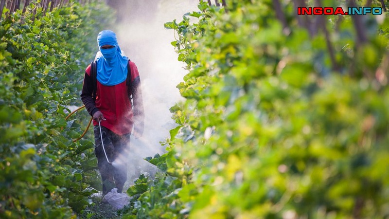 profenofos-la-gi-cong-dung-va-tac-dong-cua-profenofos-la-gi-5