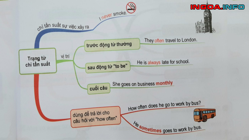 sau-usually-la-gi-cach-dung-trang-tu-tan-suat-trong-tieng-anh-2