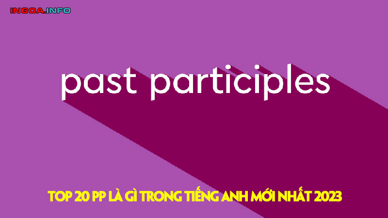 top-20-vpp-la-gi-trong-tieng-anh-moi-nhat-2023-mindovermetal