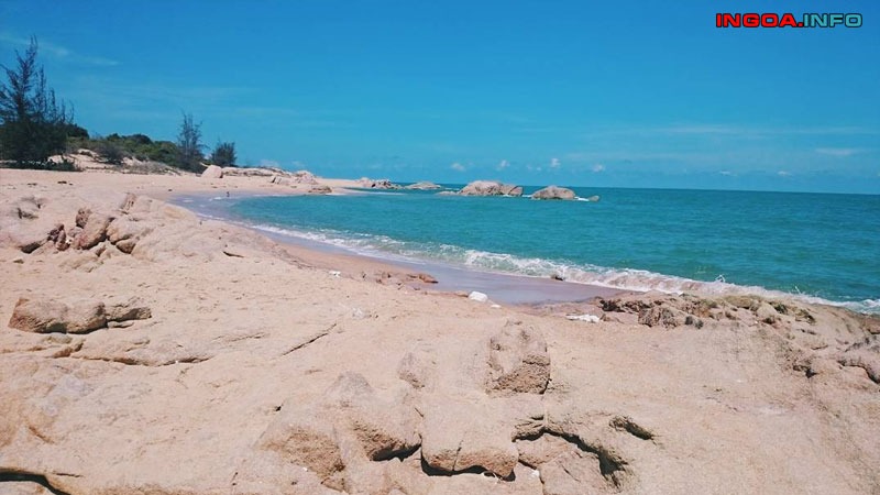 vitamin-sea-la-gi-vitamin-sea-tac-dong-den-ban-nhu-the-nao-2