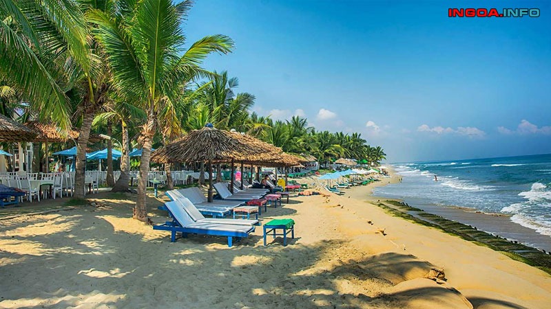 vitamin-sea-la-gi-vitamin-sea-tac-dong-den-ban-nhu-the-nao-6