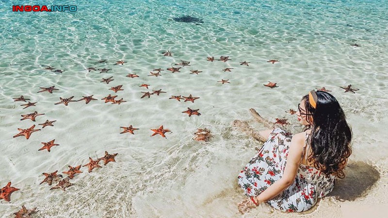 vitamin-sea-la-gi-vitamin-sea-tac-dong-den-ban-nhu-the-nao-9