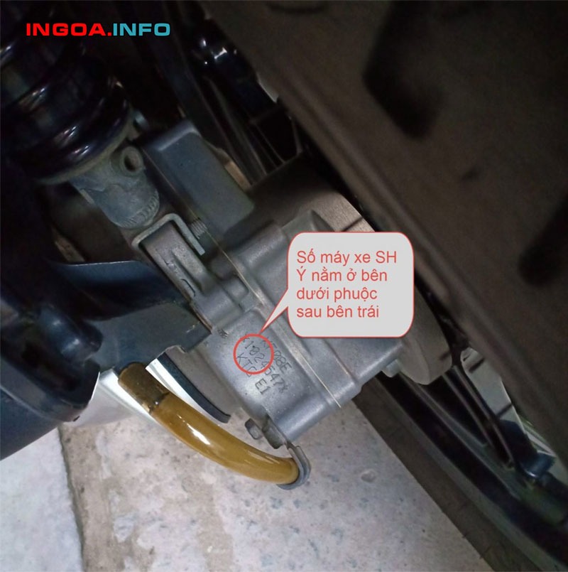 xe-sh-nhap-3-cuc-la-gi-phan-biet-xe-sh-nhap-3-cuc-va-xe-sh-viet-mau-y-4