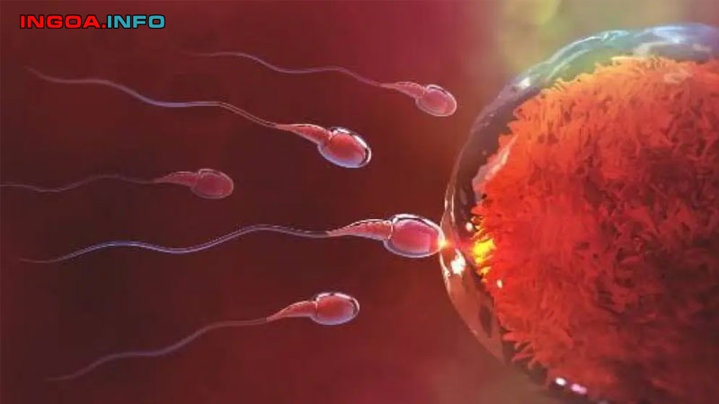 xet-nghiem-monosomy-x-60-la-gi-co-anh-den-thai-nhi-6