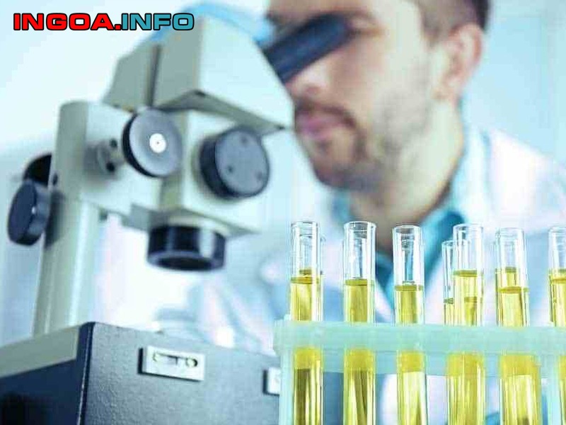 xet-nghiem-tpu-la-gi-y-nghia-tung-thong-so-trong-nuoc-tieu-8