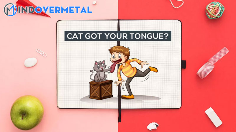 20-thanh-ngu-tieng-anh-ai-cung-nen-biet-1-mindovermetal