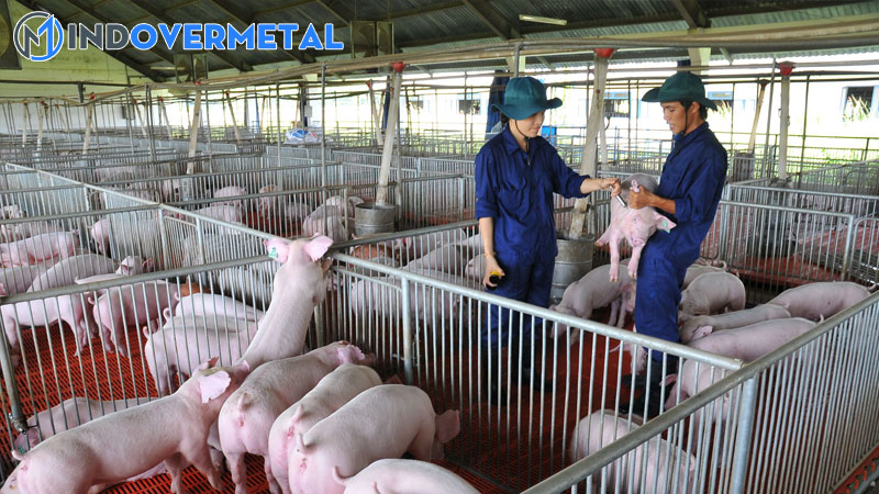 adg-la-gi-ti-le-chuyen-hoa-thuc-an-fcr-la-gi-4-mindovermetal