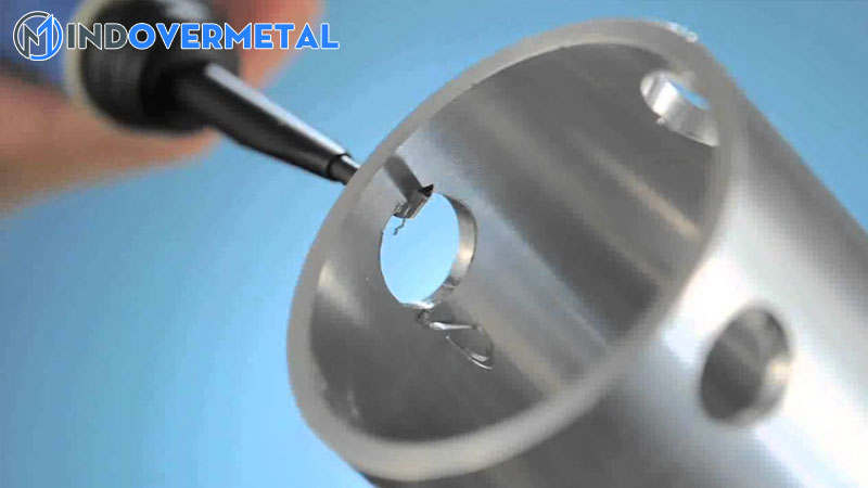 bavia-tieng-anh-la-gi-chu-ba-vo-dich-ra-tieng-anh-la-gi-vay-cac-bac-1