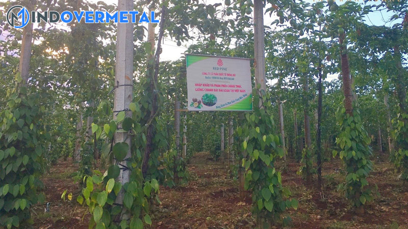 cac-kieu-lam-gian-chanh-day-gian-chu-i-hay-la-gian-thang-dung-2-mindovermetal