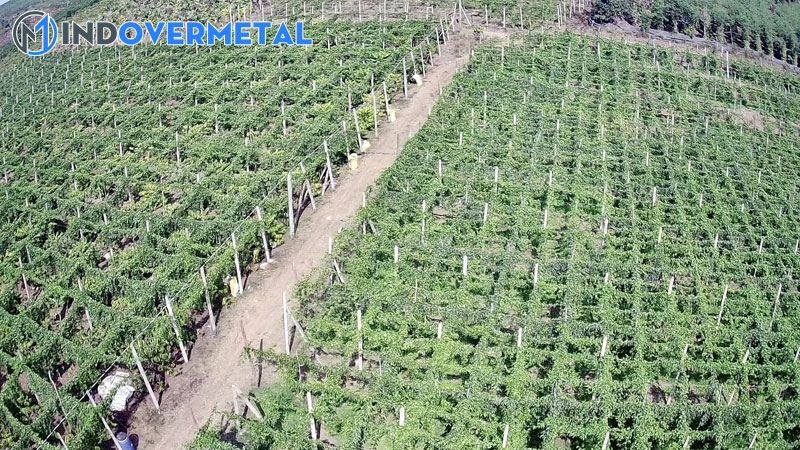 cac-kieu-lam-gian-chanh-day-gian-chu-i-hay-la-gian-thang-dung-3-mindovermetal