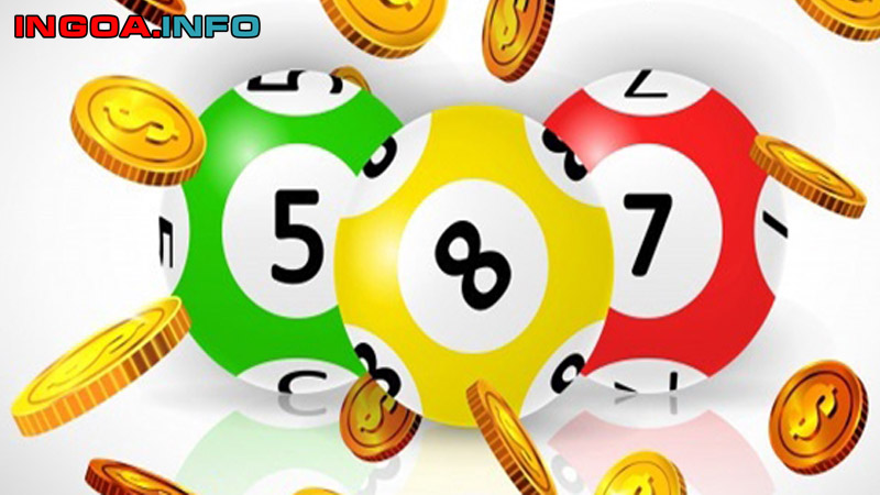 cach-bat-lo-nuoi-khung-2-ngay-theo-nhung-thu-trong-tuan-mindovermetal