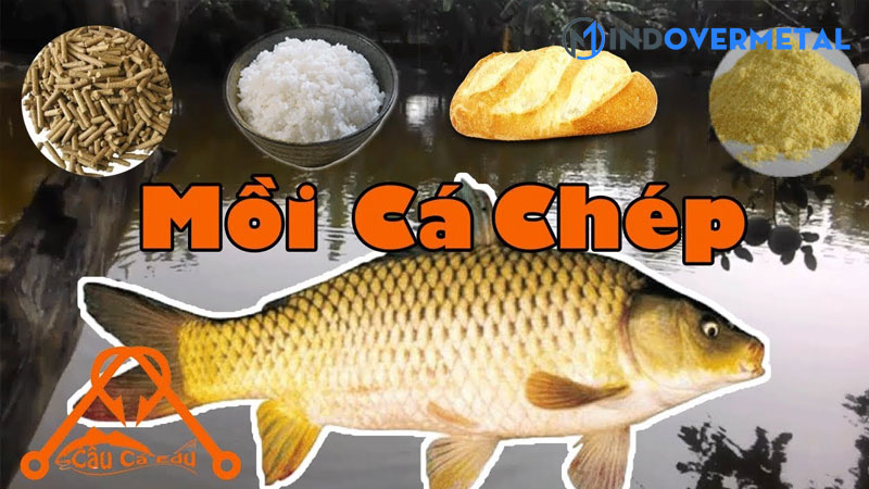 cach-lam-bot-thom-cau-ca-chep-nhung-cach-u-moi-cau-ca-chep-pho-bien-hien-nay-6