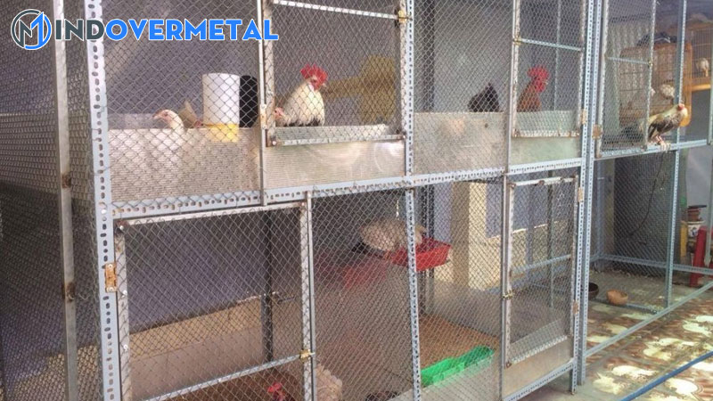 cach-lam-chuong-trai-mo-hinh-chuong-ga-choi-kich-thuoc-tieu-chuan-3-mindovermetal