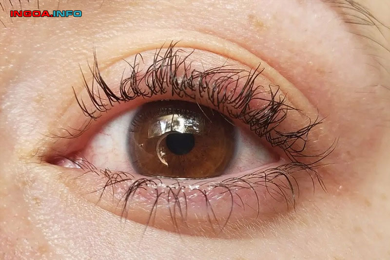 cach-lam-duoi-mi-duoi-mi-phuc-hoi-mi-bi-xoan-bi-chay-do-uon-mi-4