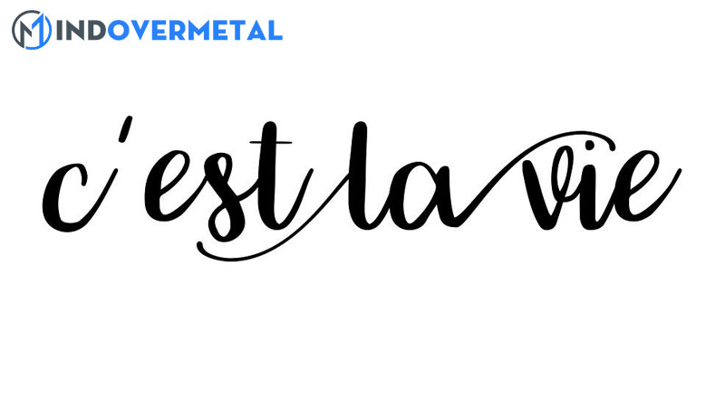 cach-su-dung-bieu-thuc-tieng-phap-cest-la-vie-do-la-cuoc-song-1-mindovermetal