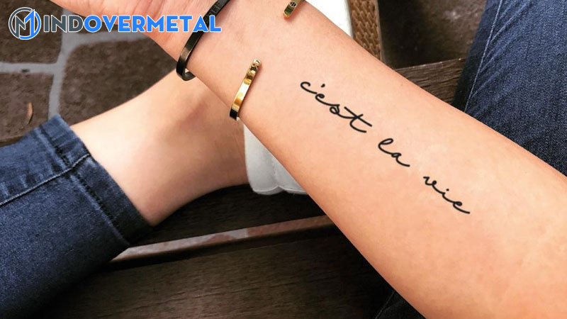 cach-su-dung-bieu-thuc-tieng-phap-cest-la-vie-do-la-cuoc-song-2-mindovermetal