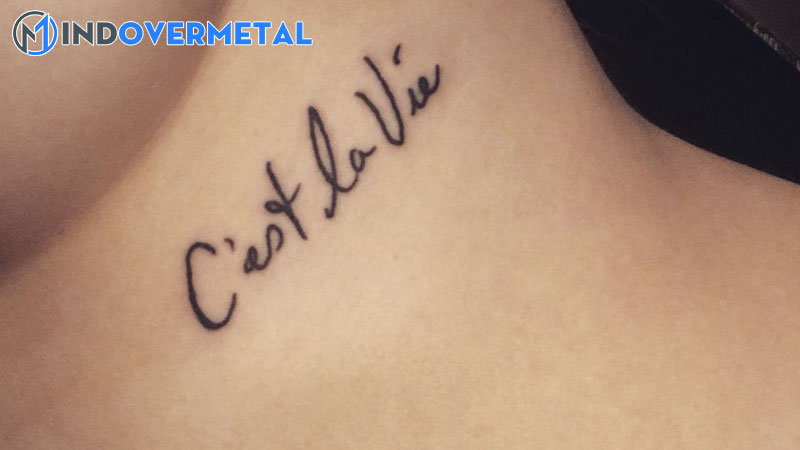 cach-su-dung-bieu-thuc-tieng-phap-cest-la-vie-do-la-cuoc-song-3-mindovermetal