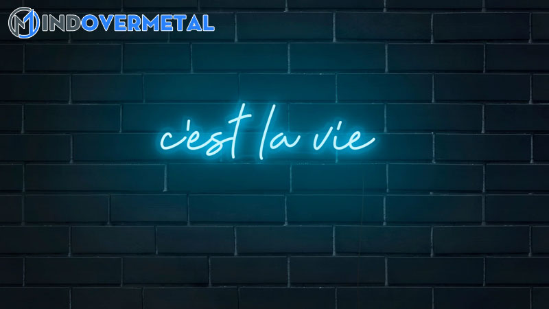 cach-su-dung-bieu-thuc-tieng-phap-cest-la-vie-do-la-cuoc-song-mindovermetal