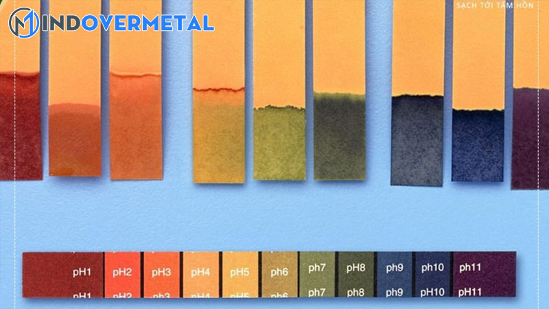 chat-chi-thi-mau-la-gi-nhung-chat-chi-thi-mau-trong-tu-nhien-3